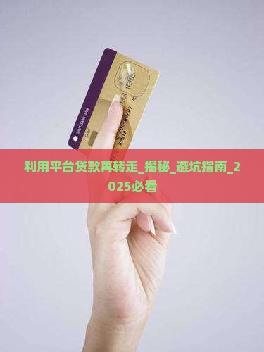 利用平台贷款再转走