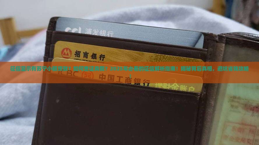 征信显示有苏宁小额贷款 征信显示有苏宁小额贷款