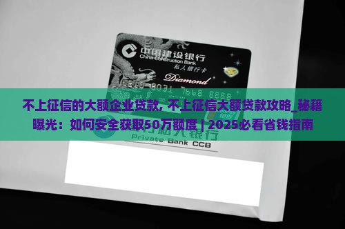 不上征信的大额企业贷款
