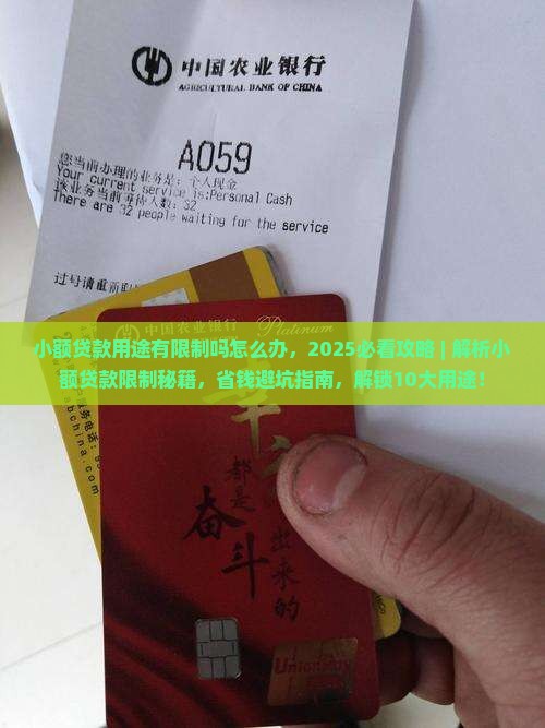 小额贷款用途有限制吗怎么办 小额贷款用途有限制吗怎么办