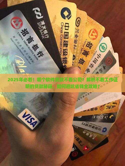 哪个软件贷款不看公司