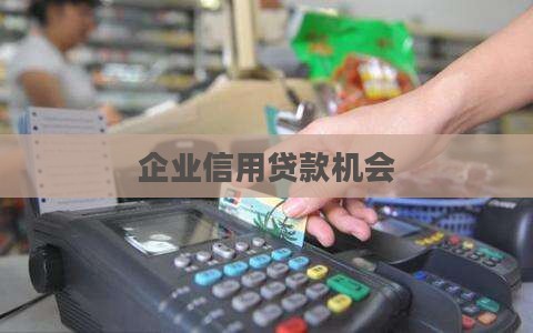 企业信用贷款机会