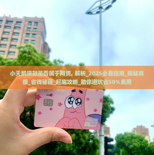 小天鹅贷款是否属于网贷