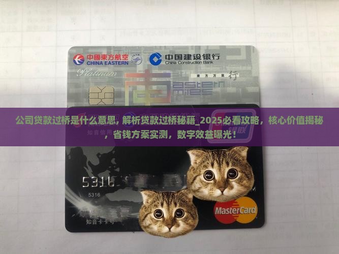 公司贷款过桥是什么意思