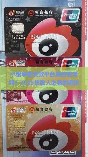 小银掌柜贷款平台
