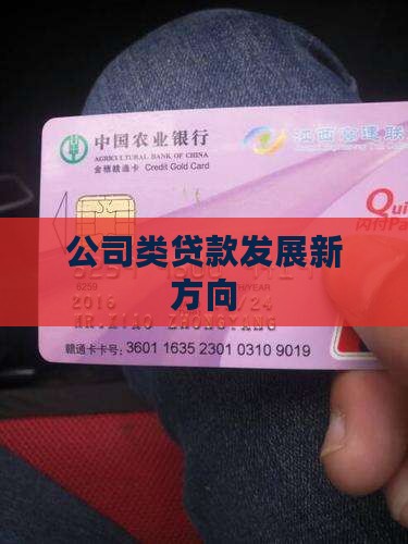 公司类贷款发展方向