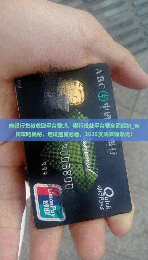 向银行贷款收取平台费吗