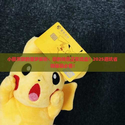 小额贷款的噩梦