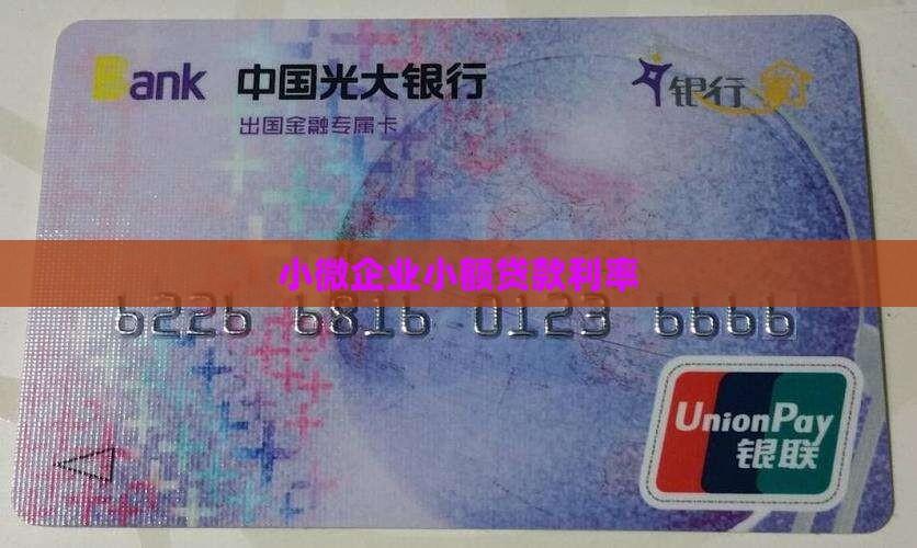 小微企业小额贷款利率