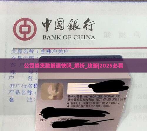公司类贷款增速快吗