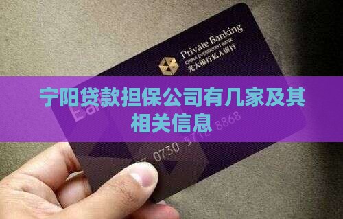 宁阳贷款担保公司有几家