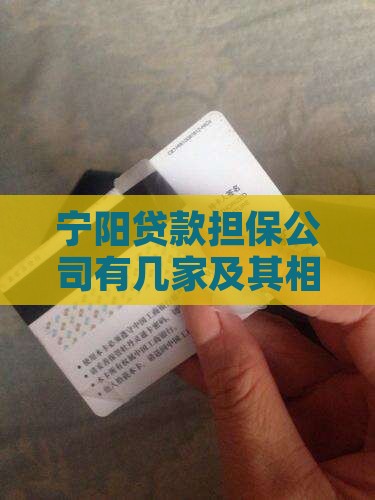宁阳贷款担保公司有几家