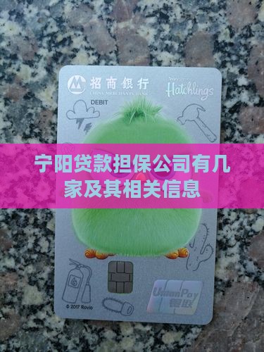 宁阳贷款担保公司有几家
