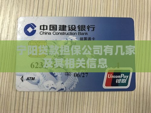 宁阳贷款担保公司有几家