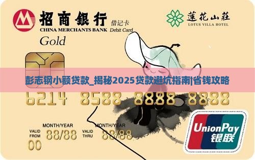 彭志钢小额贷款