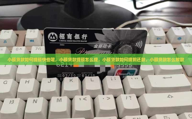 小额贷款如何提额快些呢