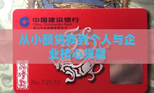 从小额贷款