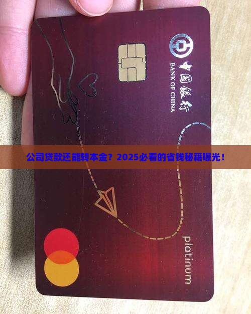 公司贷款转本金