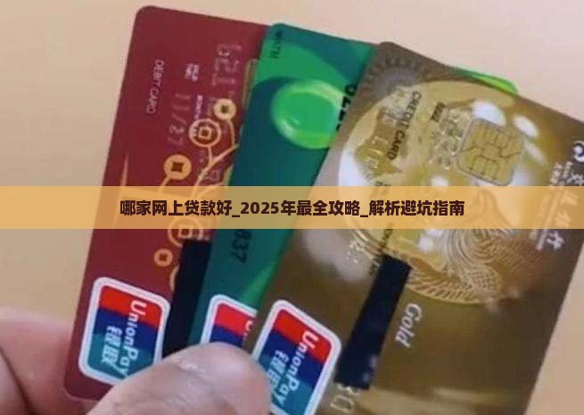 哪家网上贷款好