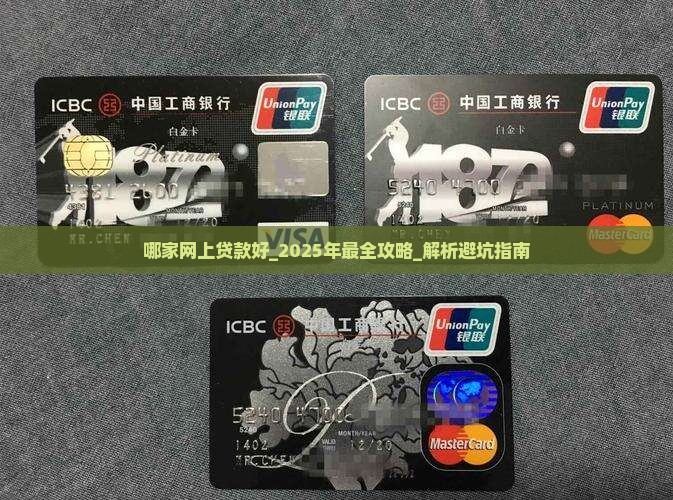 哪家网上贷款好