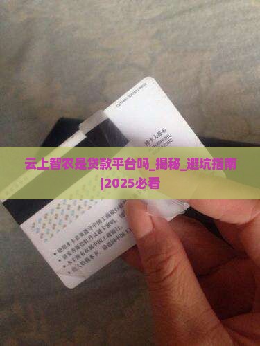 云上智农是贷款平台吗
