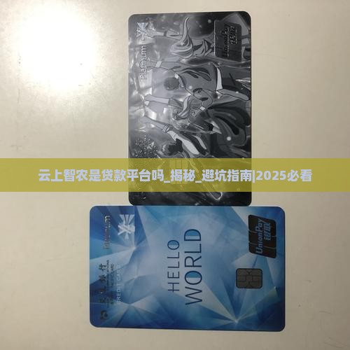 云上智农是贷款平台吗
