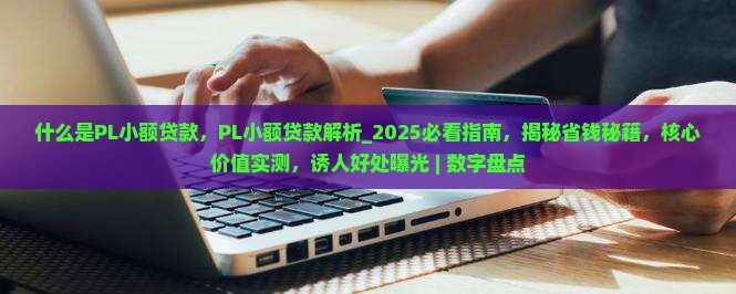 什么是PL小额贷款