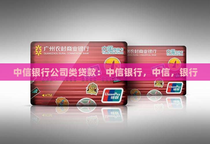 中信银行公司类贷款
