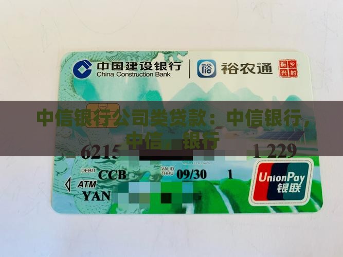 中信银行公司类贷款