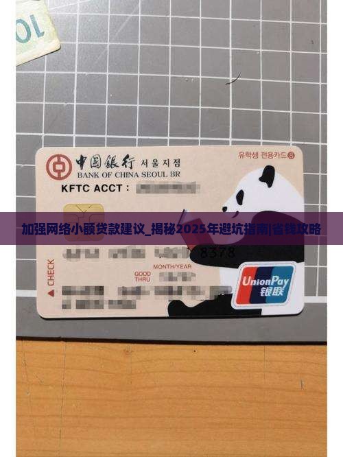 加强网络小额贷款建议