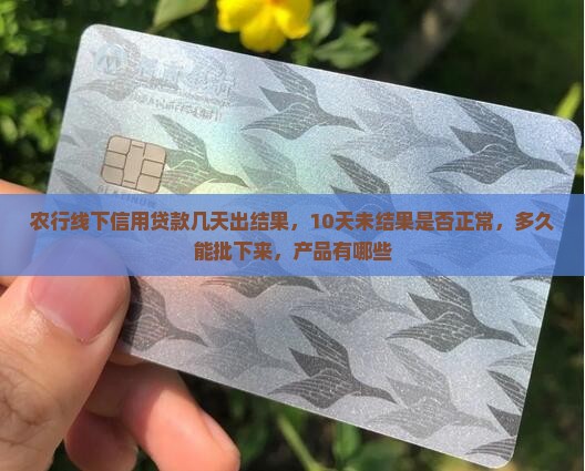 农行线下信用贷款