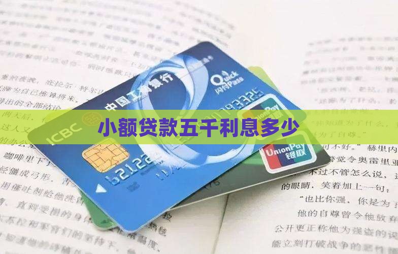 小额贷款五千利息多少