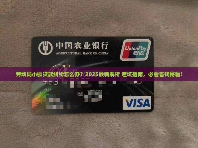 劳动局小额贷款担纠纷
