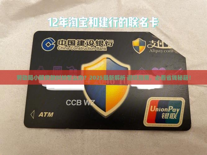 劳动局小额贷款担纠纷
