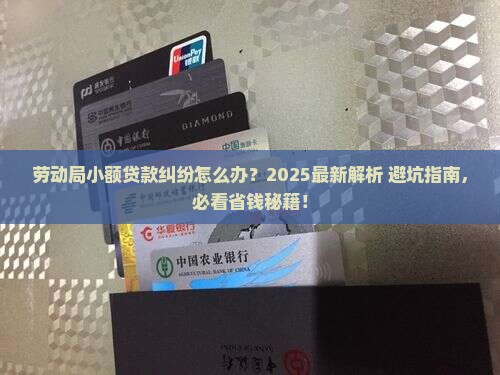 劳动局小额贷款担纠纷