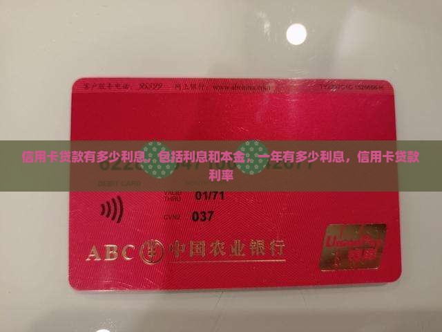 信用卡贷款有多少利息