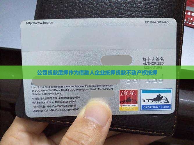 公司贷款质押