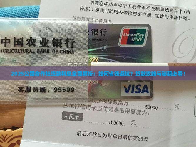 公司合作社贷款利息