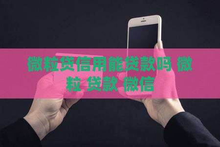 微粒贷信用能贷款吗