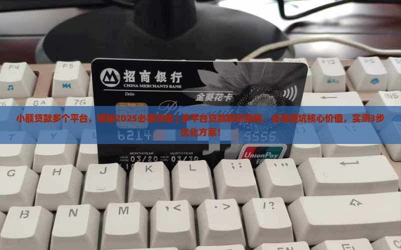 小额贷款多个平台