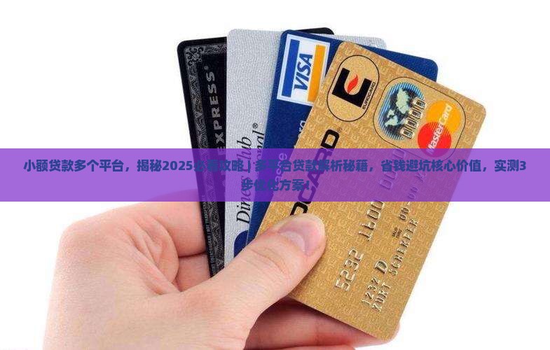 小额贷款多个平台