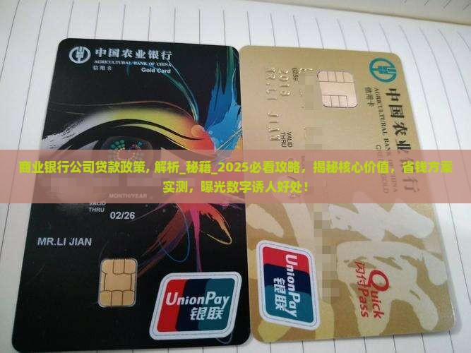 商业银行公司贷款政策