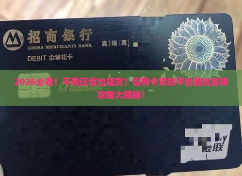 不看征信信用卡贷款平台