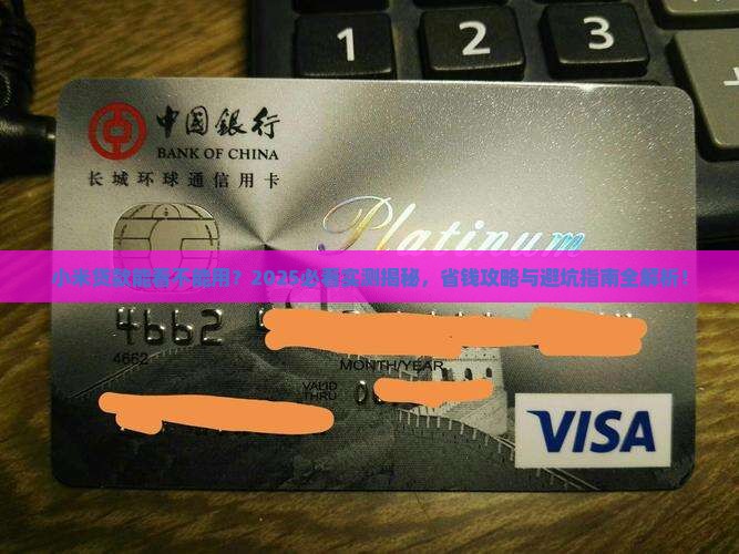 小米贷款能看不能用