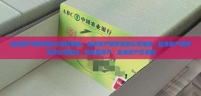 盐津房产抵押贷款公司