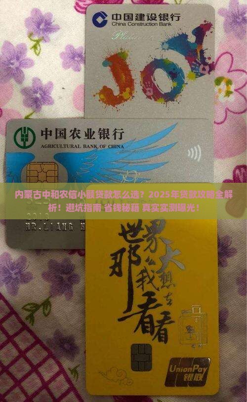 内蒙古中和农信小额贷款