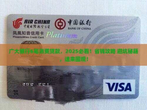 广大银行6笔消费贷款