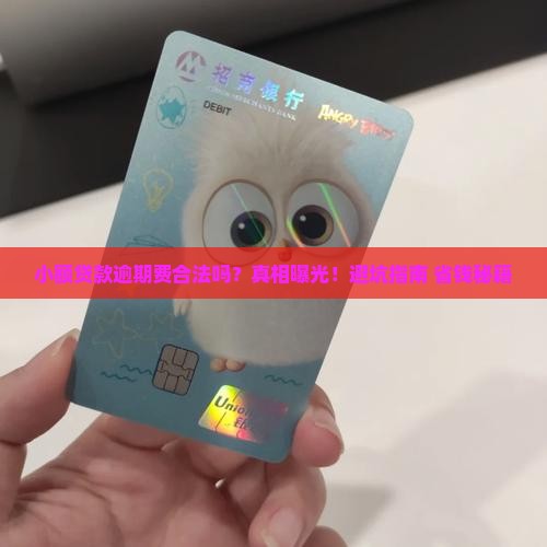 小额贷款逾期费合法吗