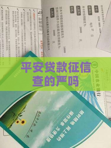 平安贷款征信查的严吗