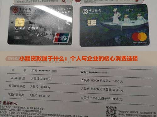 小额贷款属于什么